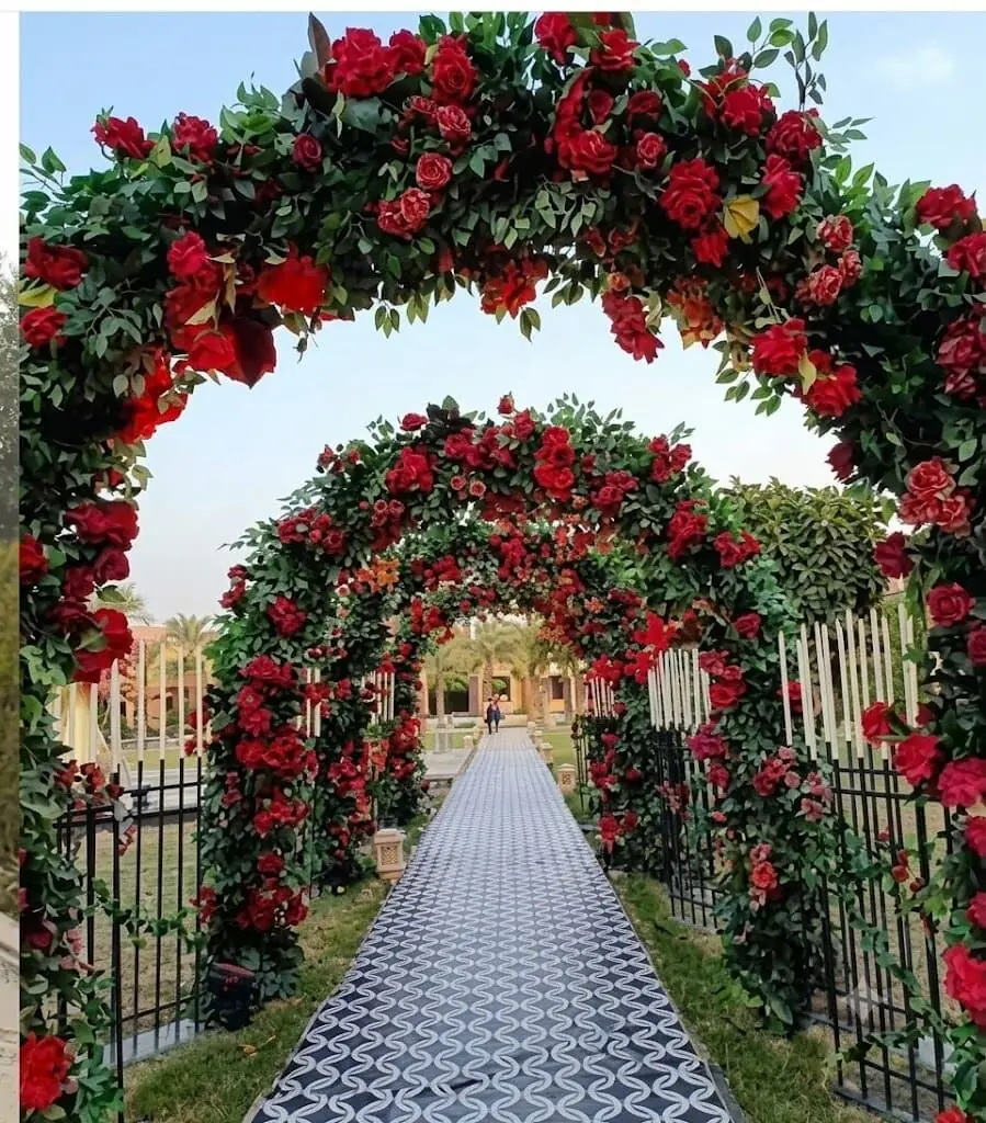 decorative plants at Aashvi Nursery Jaipur