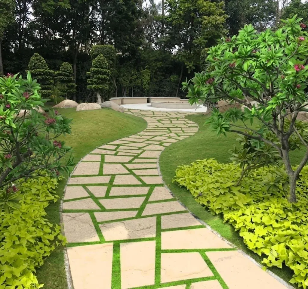 decorative plants at Aashvi Nursery Jaipur