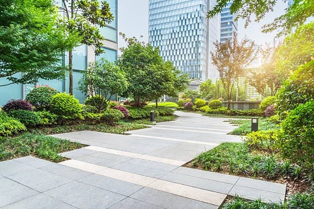 Green garden landscaping and plantation work