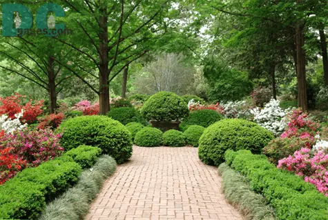 Outdoor beautification and planting project