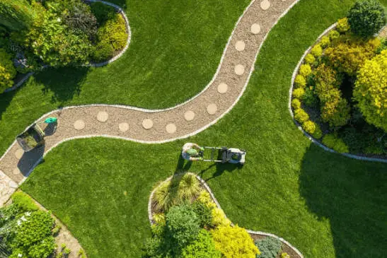Professional landscape maintenance service