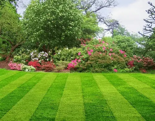 Professional garden maintenance and pruning service