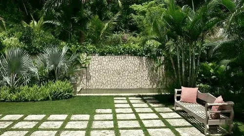 Green lawn care and grass cutting service in Jaipur