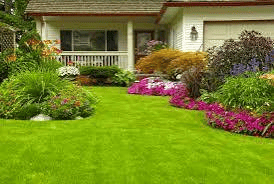 Seasonal flowering plants arranged in a Jaipur garden