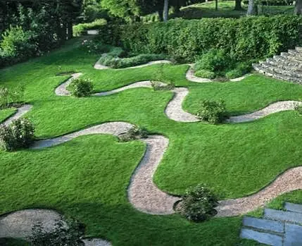 Residential landscaping project in Jaipur
