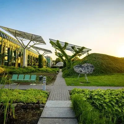 Residential garden maintenance in Jaipur
