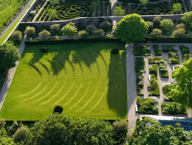 Professional pruning and trimming during garden maintenance in Jaipur