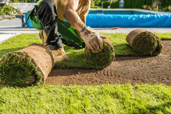 Lawn mowing and grass care service in Jaipur