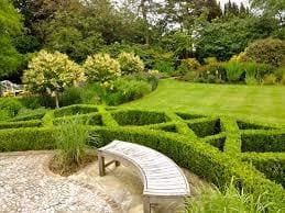 Soft landscaping with plants, shrubs and trees in Jaipur