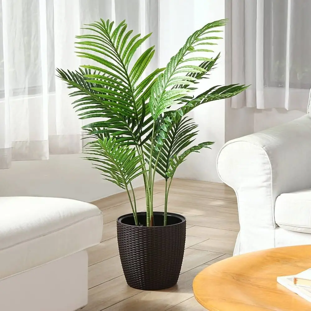 Fresh seasonal flowering plants
